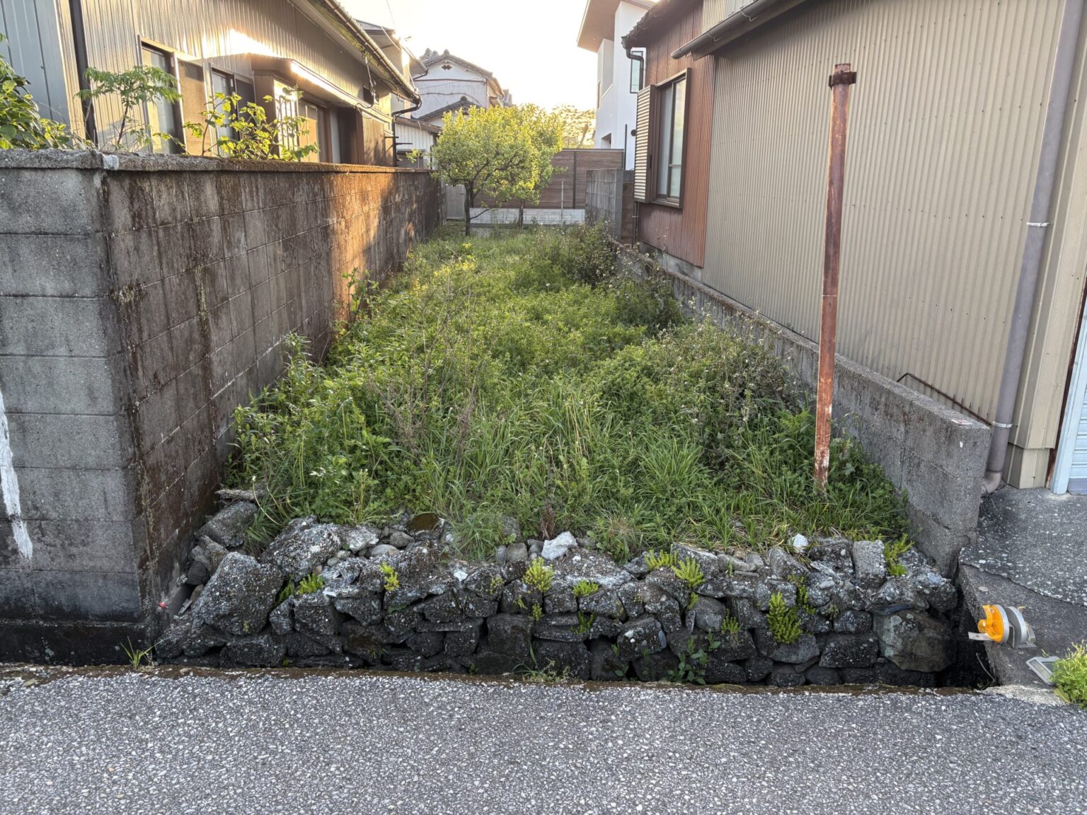 畑整備工事を行いました。 | 溝渕商店